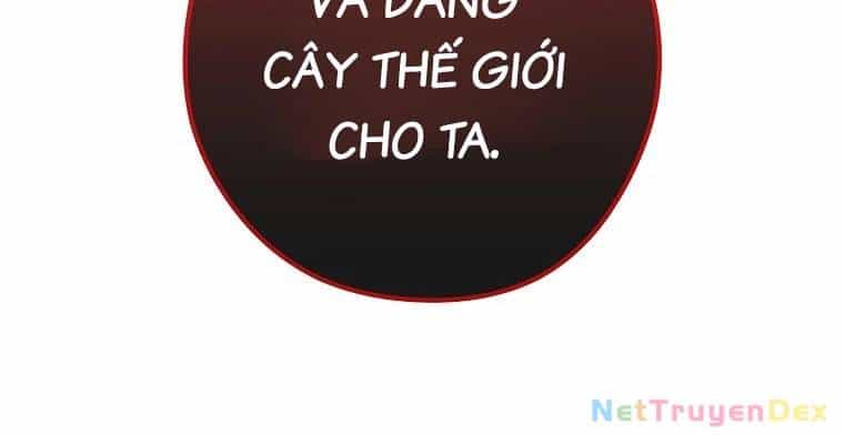 Tái Thiết Hầm Ngục - Chương 233 - ảnh 158