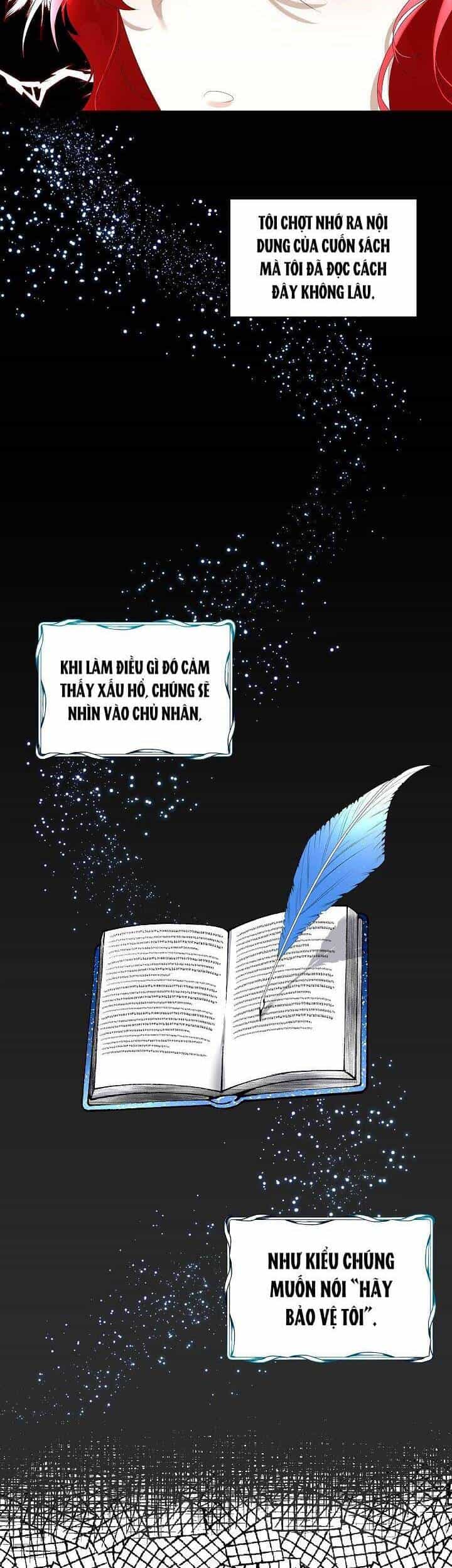 Tạm Thời Tôi Sẽ Bảo Vệ Nam Chính - Chương 6 - ảnh 6