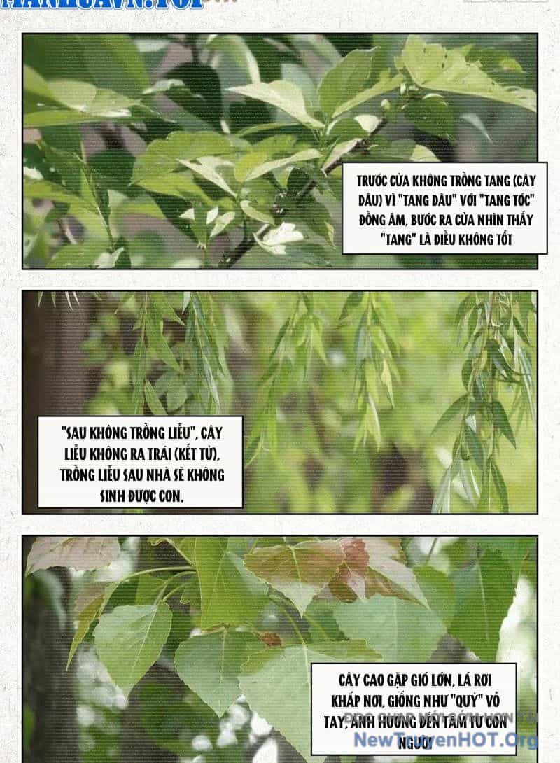 Tẩu Âm Nhân - Chương 26 - ảnh 3