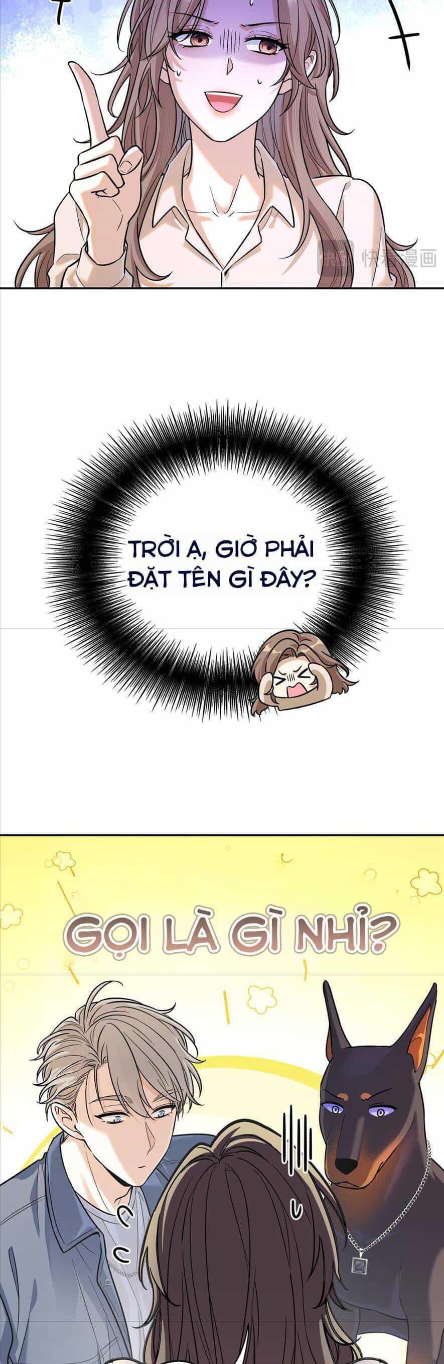 Tên Đàn Ông Này Thật Sự Là Một Tên Cẩu Mà - Chương 11 - ảnh 9