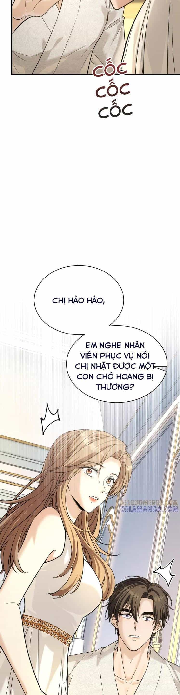 Tên Đàn Ông Này Thật Sự Là Một Tên Cẩu Mà - Chương 41 - ảnh 15