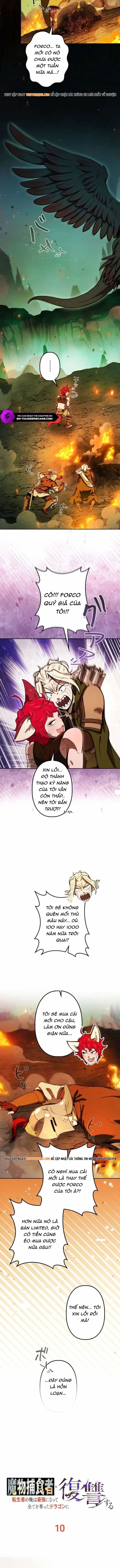 Tensei Shita Saikyo No Monsuta Kusha: Bokun Ryu E No Fukushu - Chương 10 - ảnh 13