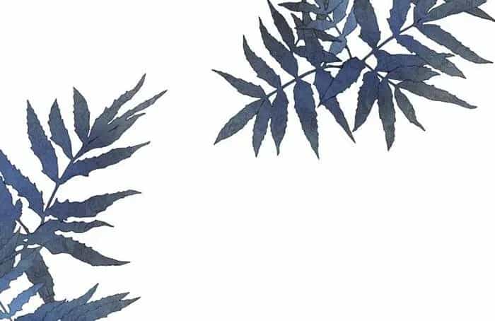 Thà Gả Cho Người Đã Khuất Còn Hơn Làm Vợ Lẽ - Chương 52 - ảnh 47