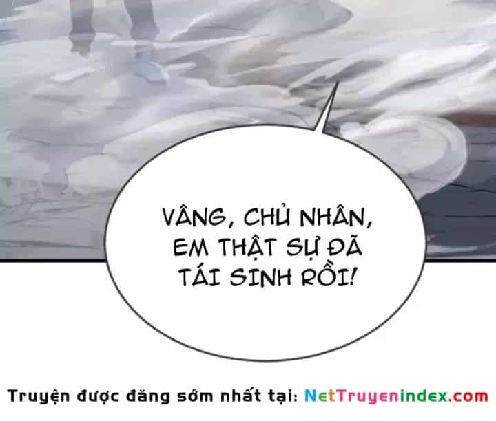 Thái Cổ Thập Hung: Người Khác Ngự Thú Ta Ngự Thú Nương - Chương 119 - ảnh 147