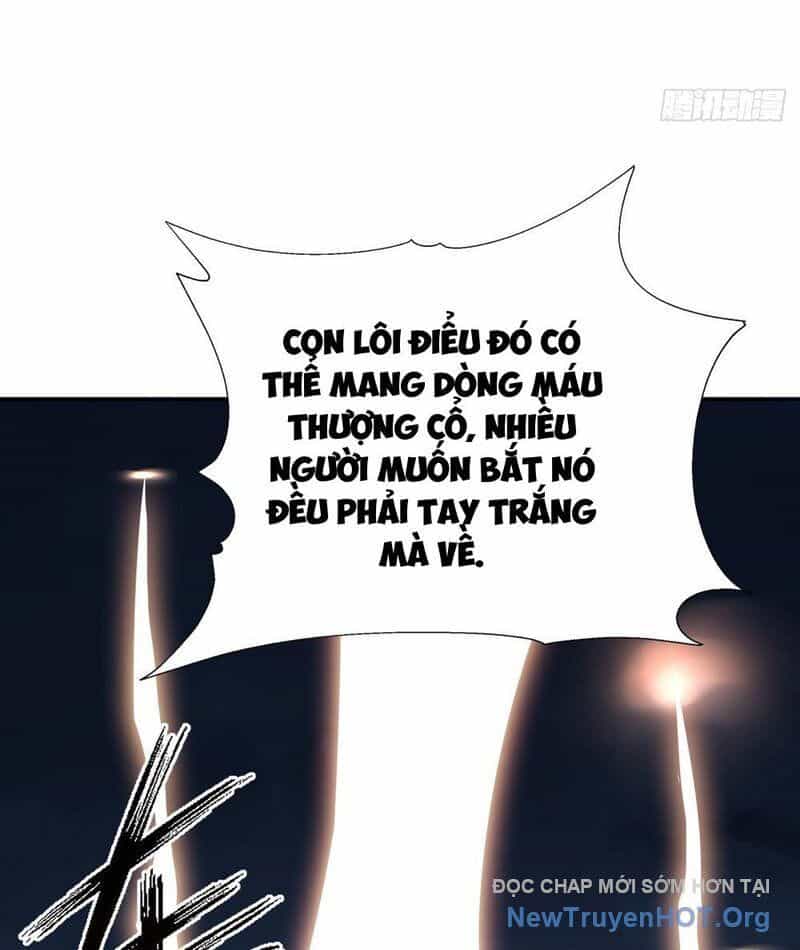 Thái Cổ Thập Hung: Người Khác Ngự Thú Ta Ngự Thú Nương - Chương 14 - ảnh 24
