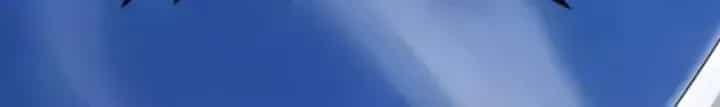 Thái Cổ Thập Hung: Người Khác Ngự Thú Ta Ngự Thú Nương - Chương 155 - ảnh 126