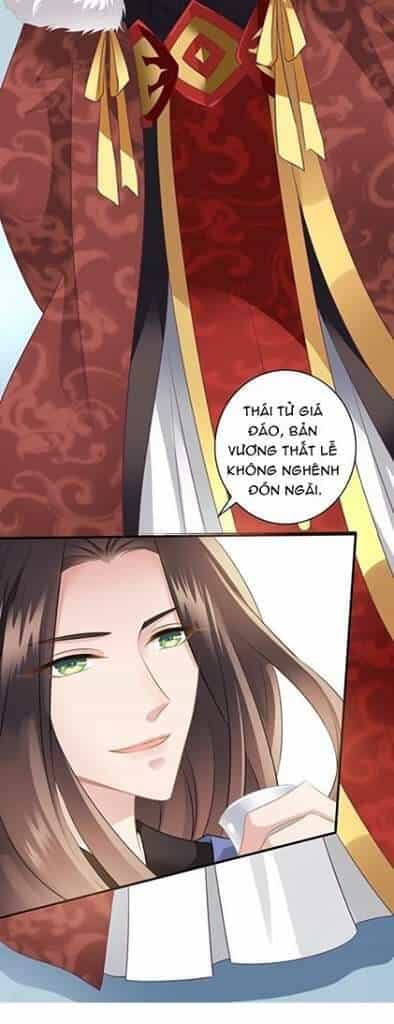 Thái Tử Điện Hạ Có Tin Vui - Chương 18 - ảnh 2
