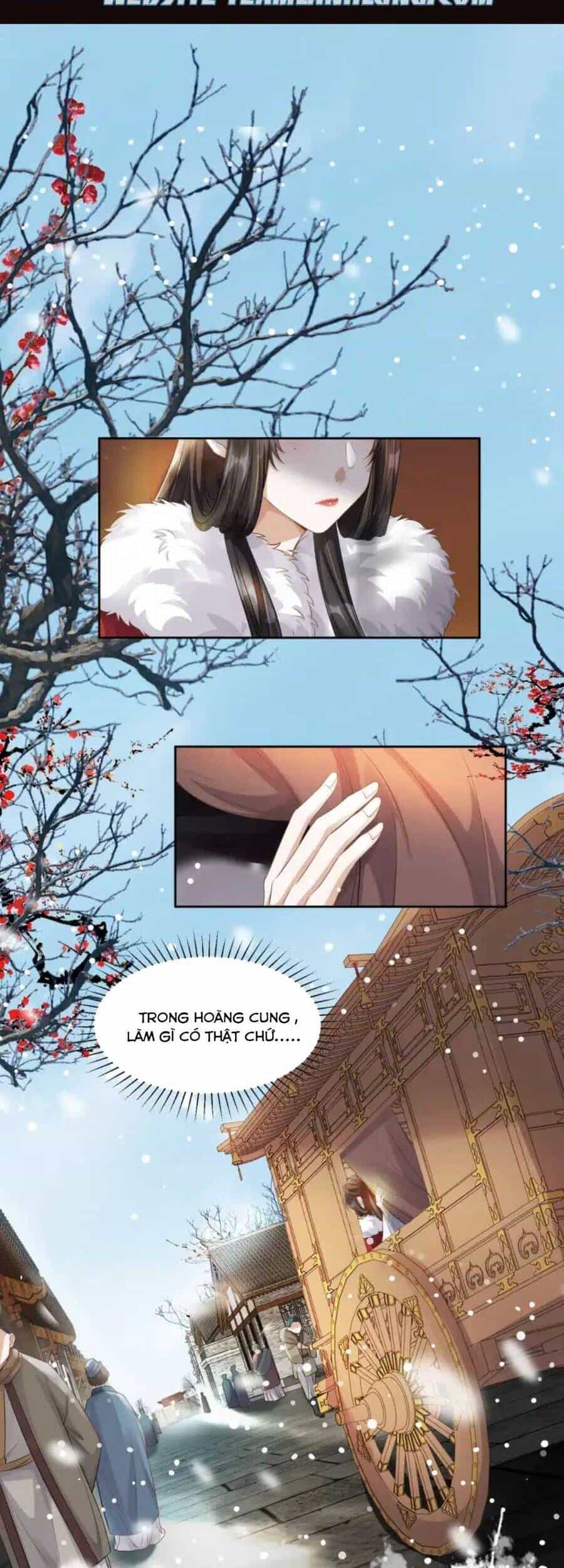 Thái Tử Xin Đừng Gieo Cho Ta Hy Vọng - Chương 6 - ảnh 5
