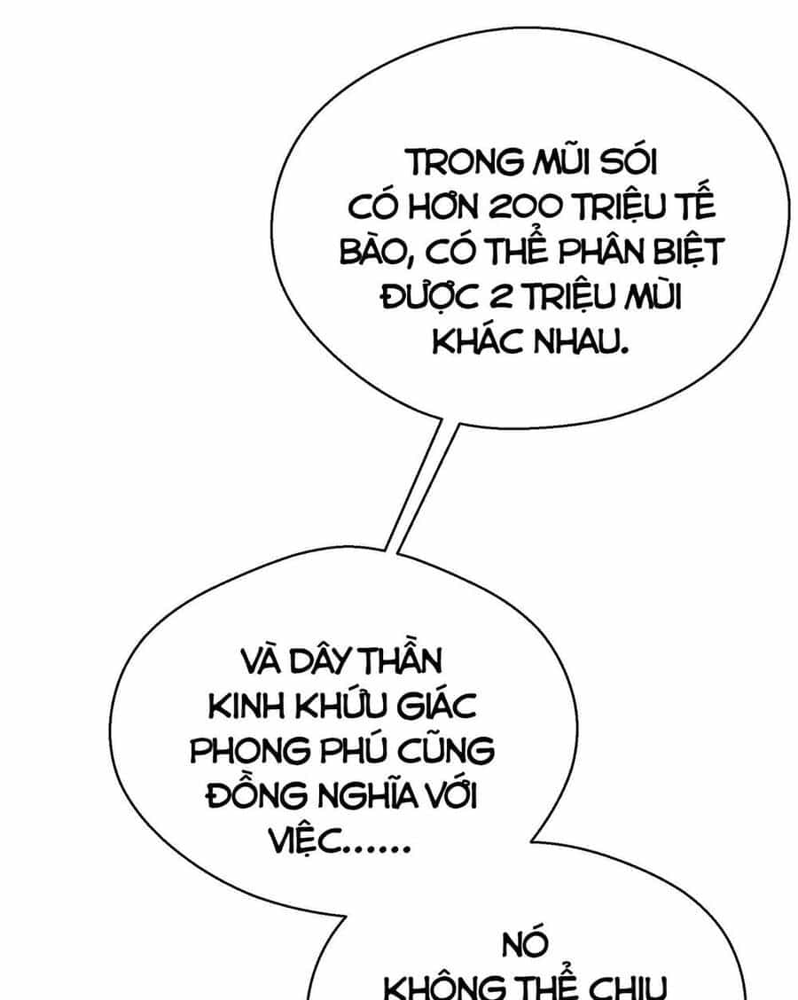 Thảm Họa Ngày Tận Thế, Tôi Tái Sinh Biến Cả Gia Đình Trở Thành Một Ông Trùm! - Chương 14 - ảnh 38