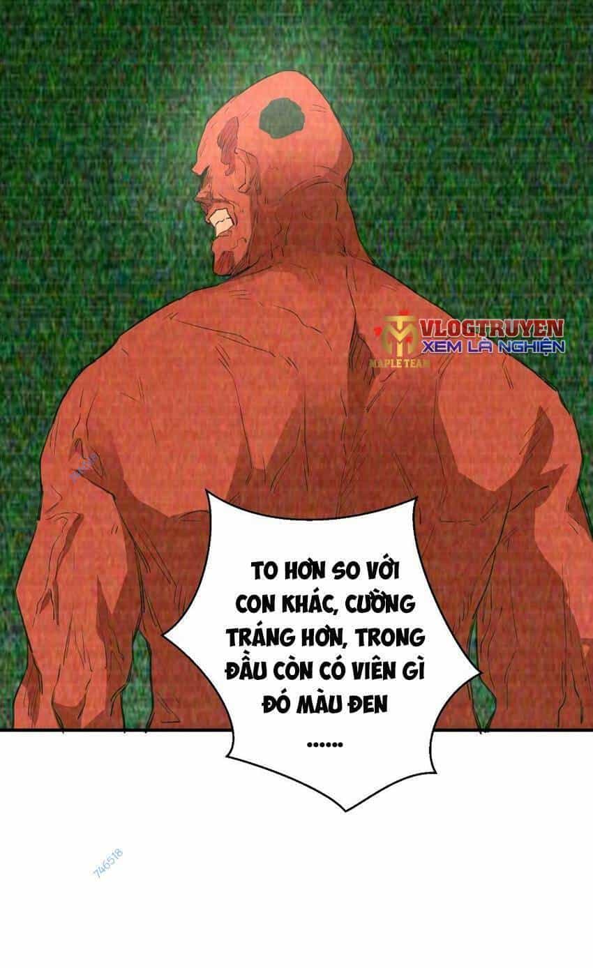 Thảm Họa Ngày Tận Thế, Tôi Tái Sinh Biến Cả Gia Đình Trở Thành Một Ông Trùm! - Chương 29 - ảnh 17