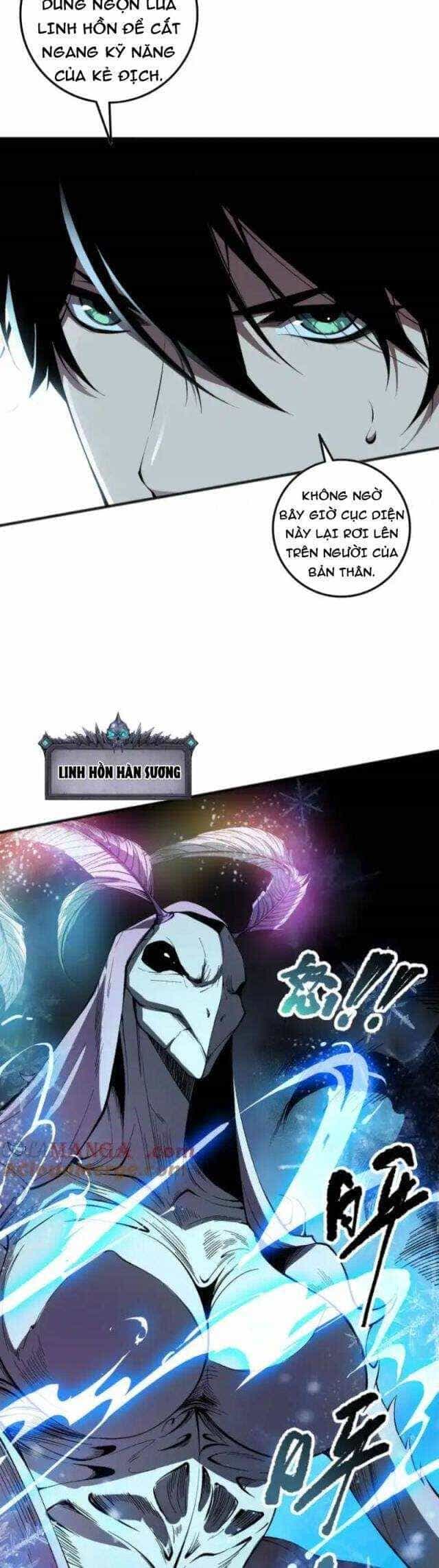 Thảm Họa Tử Linh Sư - Chương 100 - ảnh 13