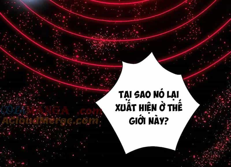 Thảm Họa Tử Linh Sư - Chương 113 - ảnh 10