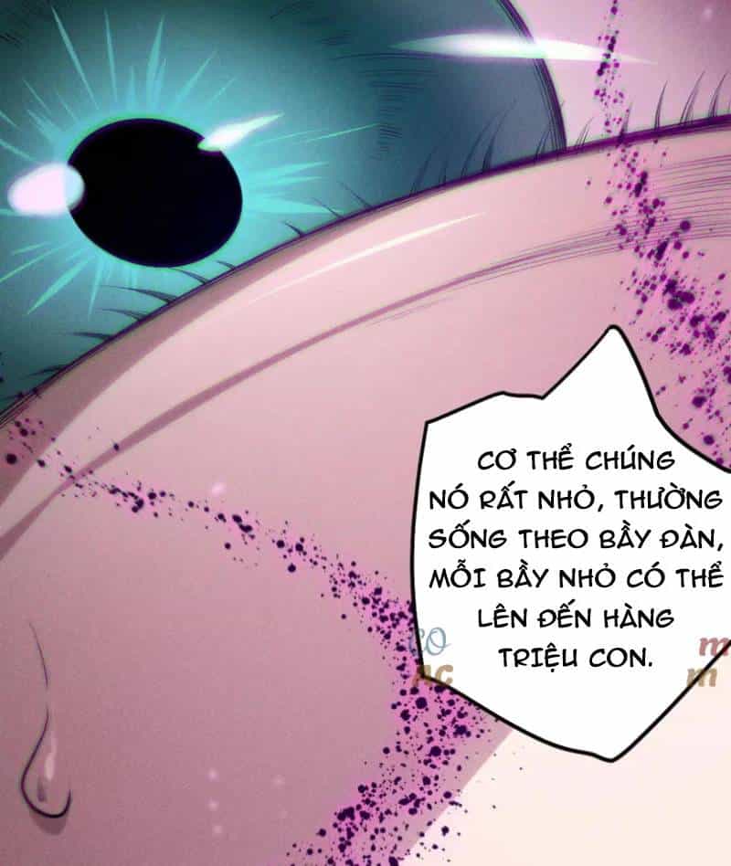 Thảm Họa Tử Linh Sư - Chương 134 - ảnh 36