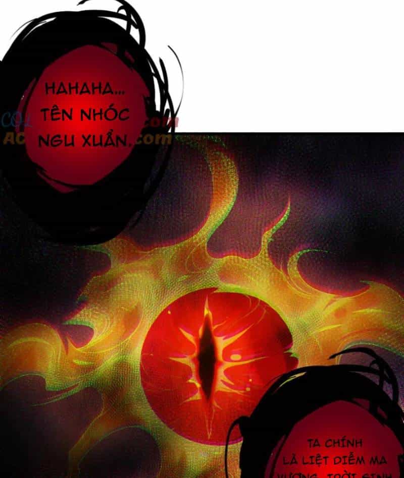 Thảm Họa Tử Linh Sư - Chương 134 - ảnh 47