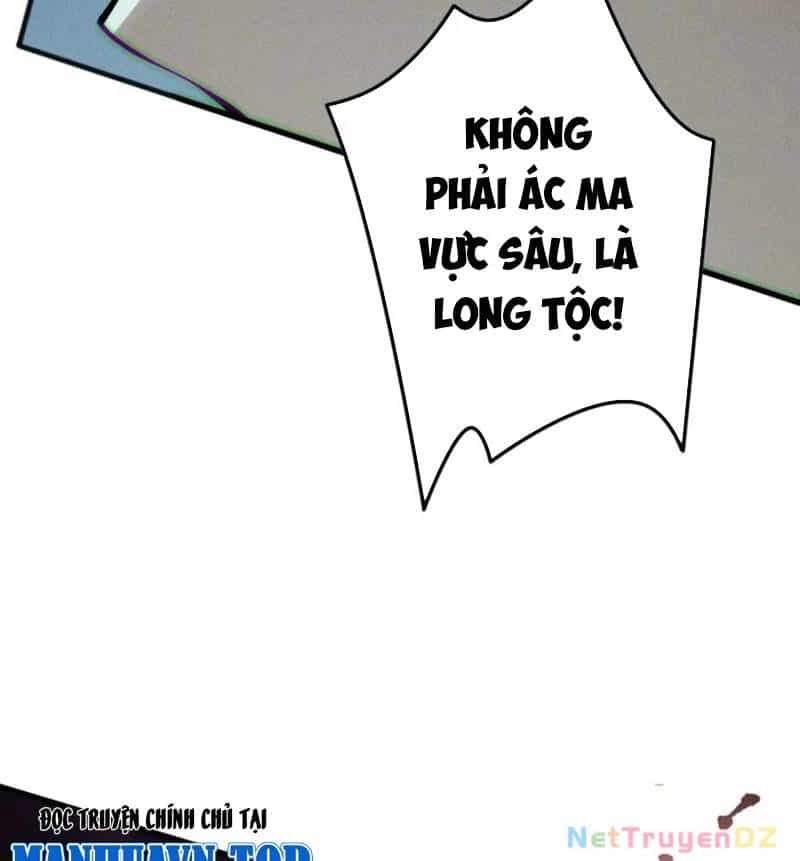 Thảm Họa Tử Linh Sư - Chương 142 - ảnh 47