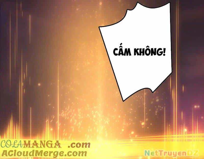 Thảm Họa Tử Linh Sư - Chương 143 - ảnh 13