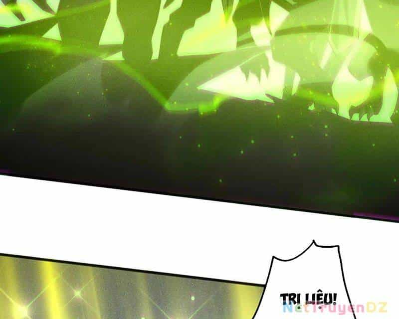 Thảm Họa Tử Linh Sư - Chương 143 - ảnh 78