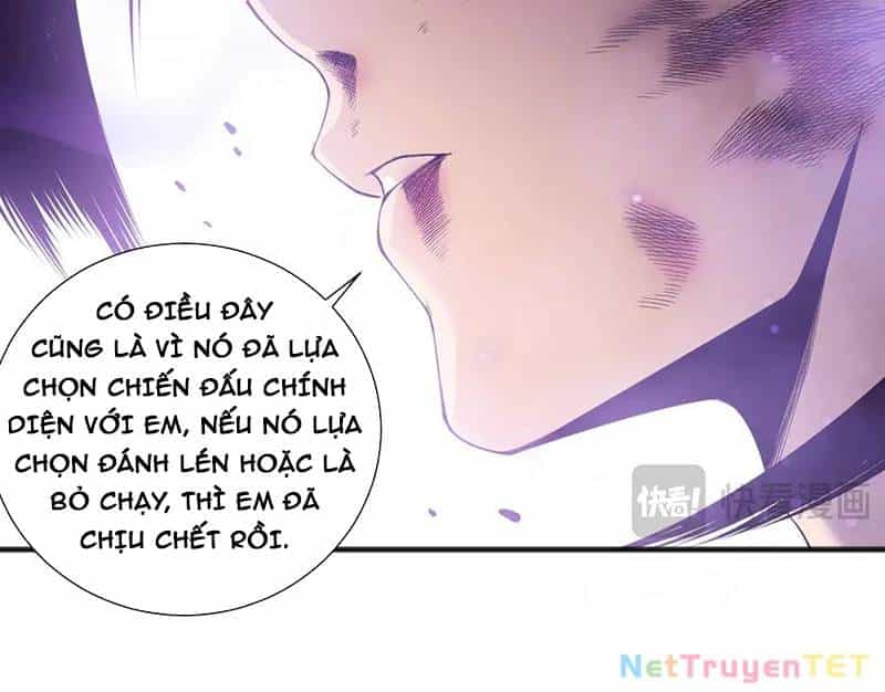 Thảm Họa Tử Linh Sư - Chương 155 - ảnh 16
