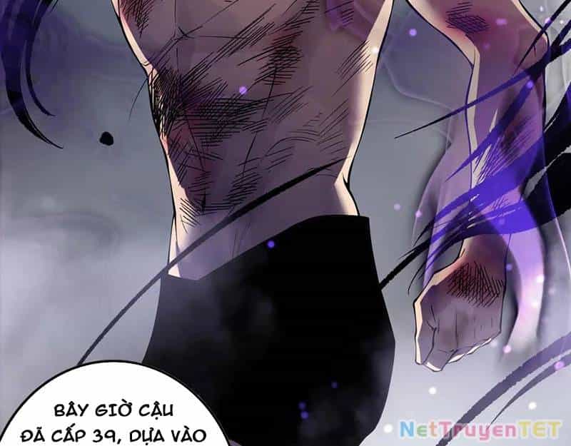 Thảm Họa Tử Linh Sư - Chương 155 - ảnh 21