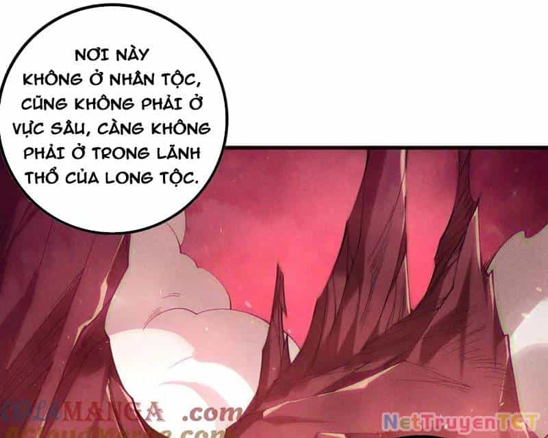 Thảm Họa Tử Linh Sư - Chương 155 - ảnh 72