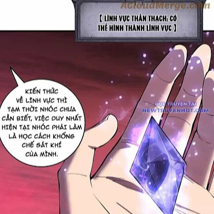 Thảm Họa Tử Linh Sư - Chương 156 - ảnh 101