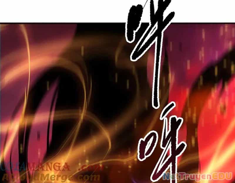 Thảm Họa Tử Linh Sư - Chương 157 - ảnh 14
