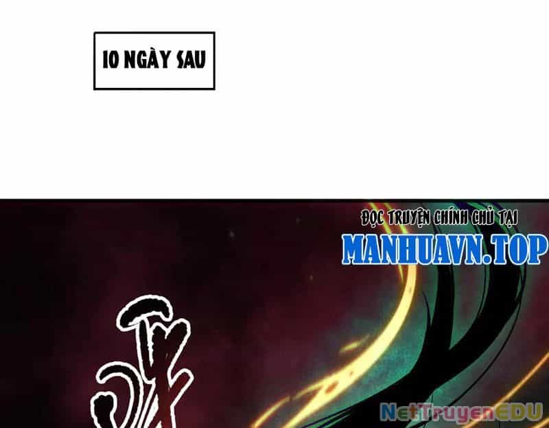 Thảm Họa Tử Linh Sư - Chương 157 - ảnh 27