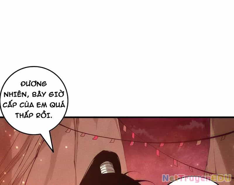 Thảm Họa Tử Linh Sư - Chương 157 - ảnh 41