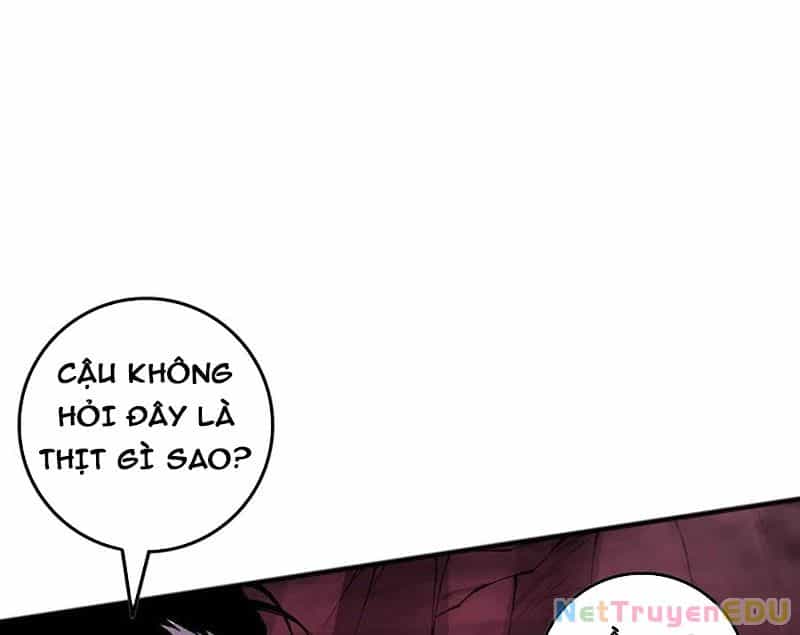 Thảm Họa Tử Linh Sư - Chương 157 - ảnh 79
