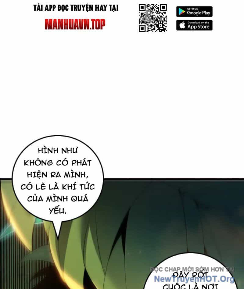 Thảm Họa Tử Linh Sư - Chương 209 - ảnh 35