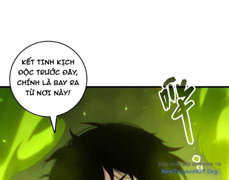 Thảm Họa Tử Linh Sư - Chương 211 - ảnh 87