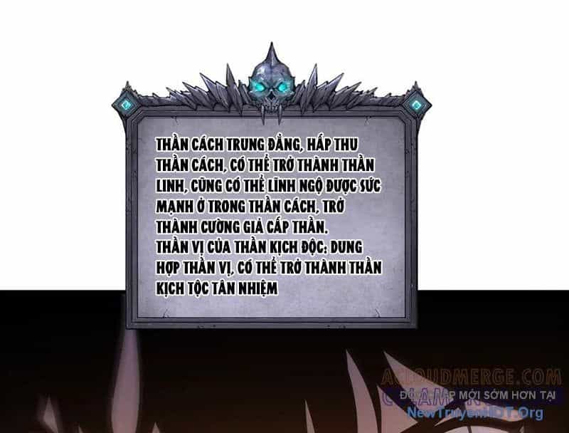 Thảm Họa Tử Linh Sư - Chương 212 - ảnh 3