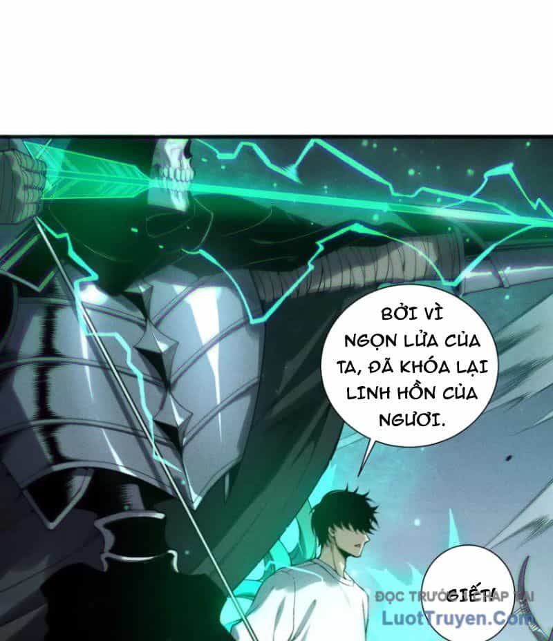 Thảm Họa Tử Linh Sư - Chương 215 - ảnh 33