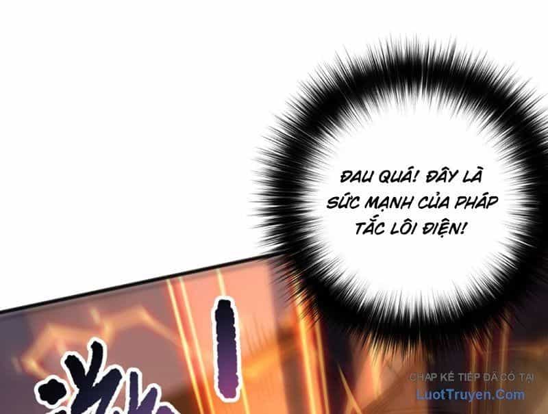 Thảm Họa Tử Linh Sư - Chương 236 - ảnh 10