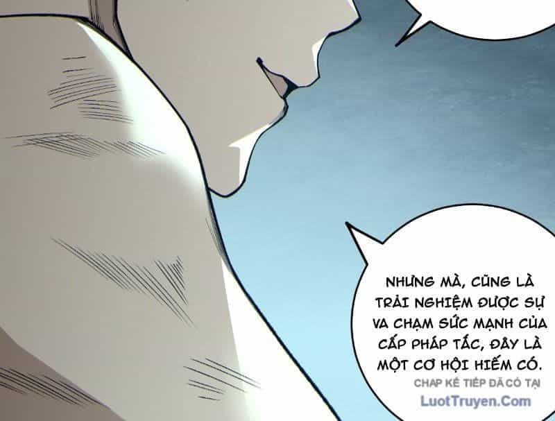 Thảm Họa Tử Linh Sư - Chương 236 - ảnh 58