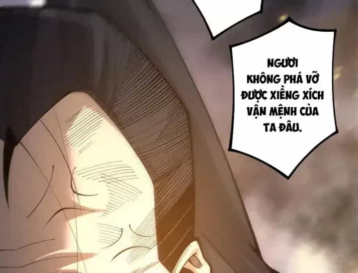 Thảm Họa Tử Linh Sư - Chương 239 - ảnh 23
