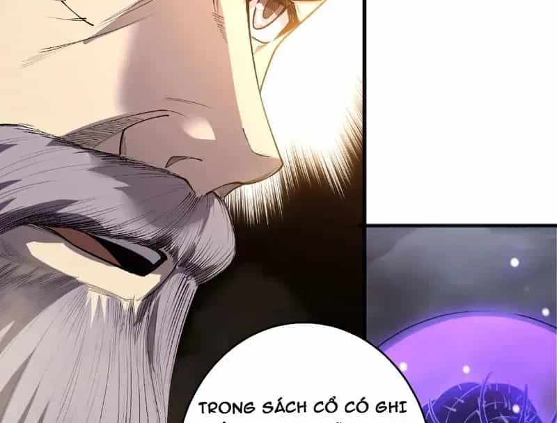 Thảm Họa Tử Linh Sư - Chương 243 - ảnh 68