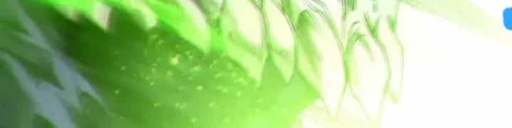 Thảm Họa Tử Linh Sư - Chương 247 - ảnh 41