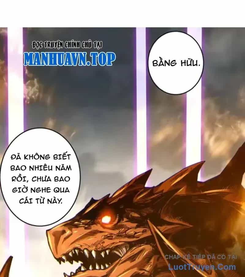 Thảm Họa Tử Linh Sư - Chương 253 - ảnh 3