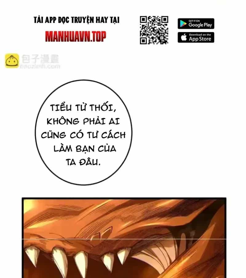 Thảm Họa Tử Linh Sư - Chương 253 - ảnh 5