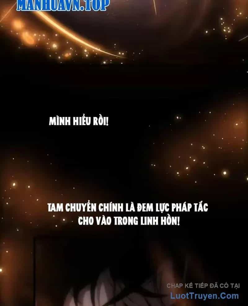 Thảm Họa Tử Linh Sư - Chương 254 - ảnh 38