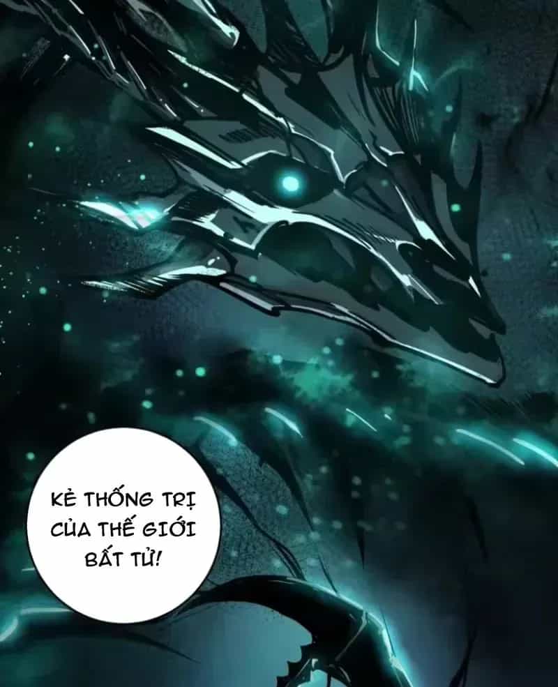 Thảm Họa Tử Linh Sư - Chương 254 - ảnh 50