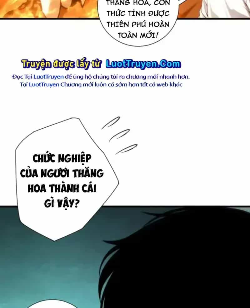 Thảm Họa Tử Linh Sư - Chương 254 - ảnh 86