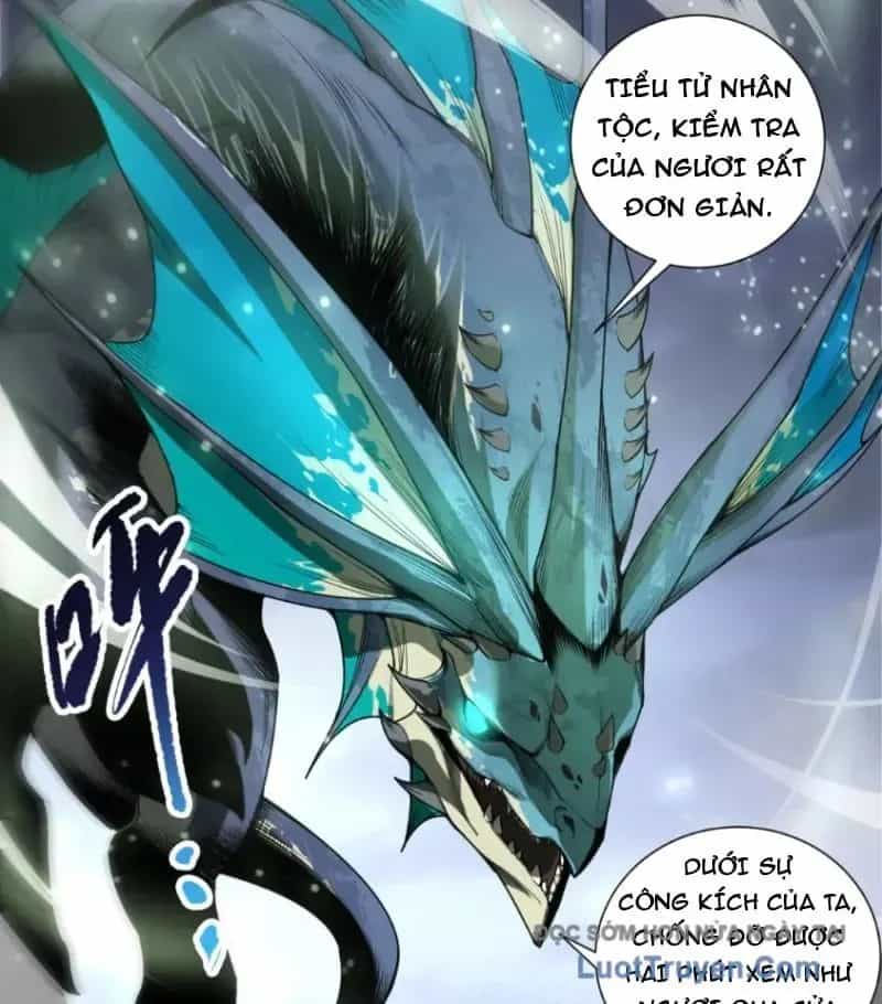 Thảm Họa Tử Linh Sư - Chương 259 - ảnh 33