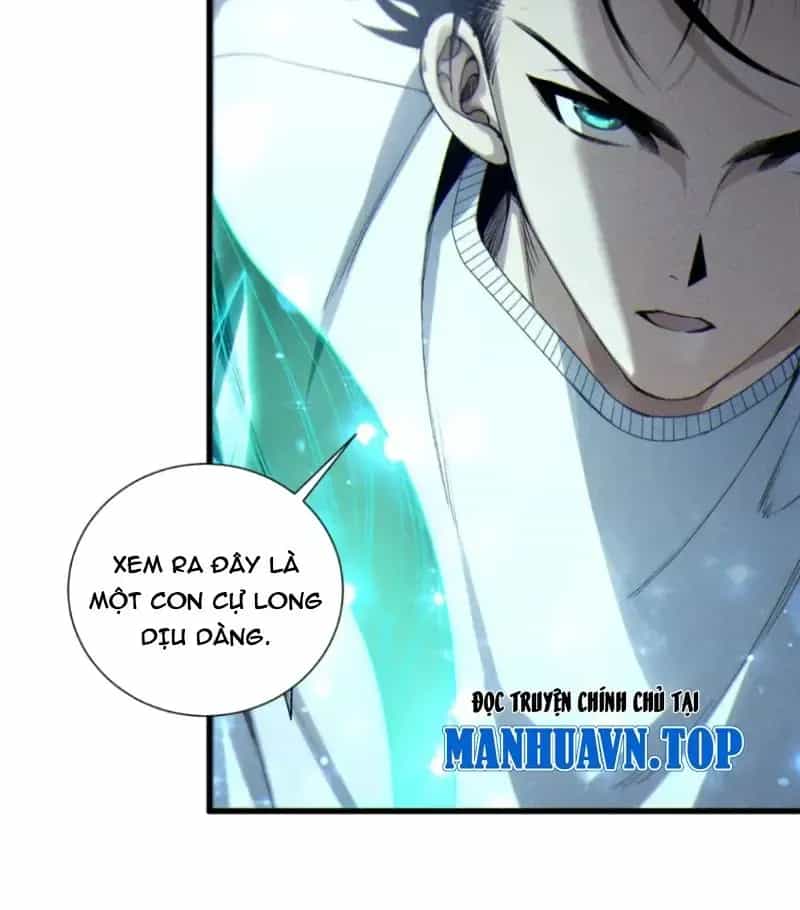 Thảm Họa Tử Linh Sư - Chương 259 - ảnh 82