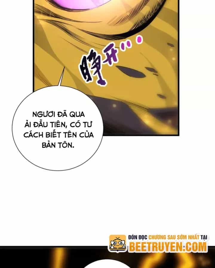 Thảm Họa Tử Linh Sư - Chương 261 - ảnh 20