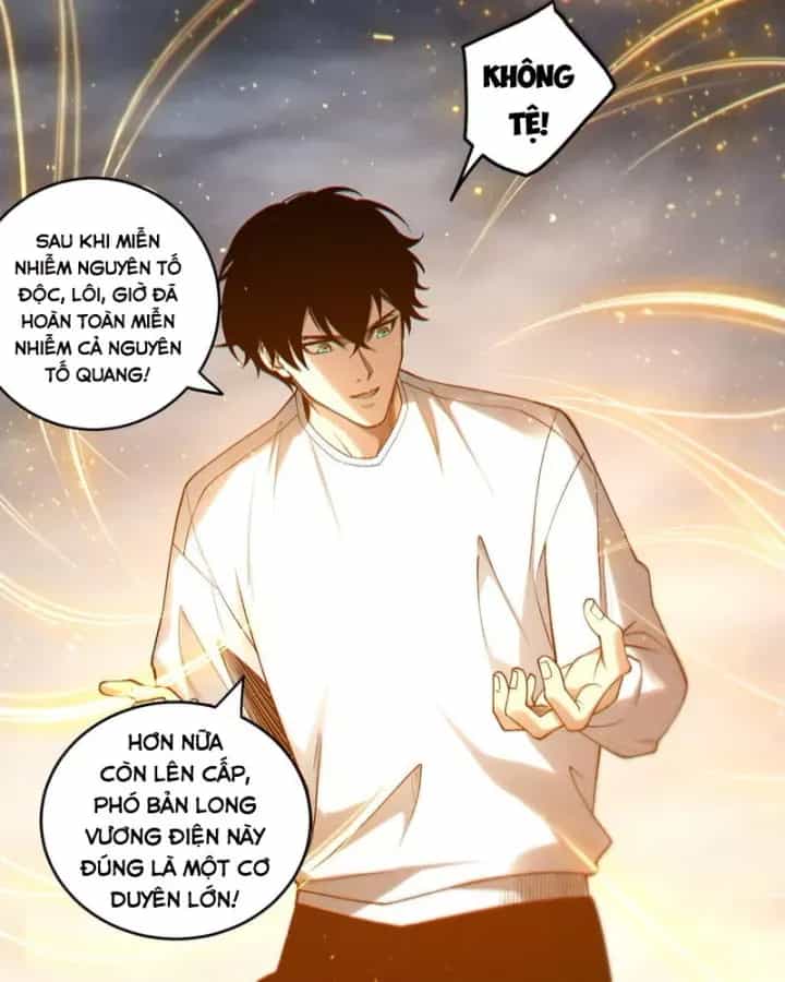 Thảm Họa Tử Linh Sư - Chương 261 - ảnh 81