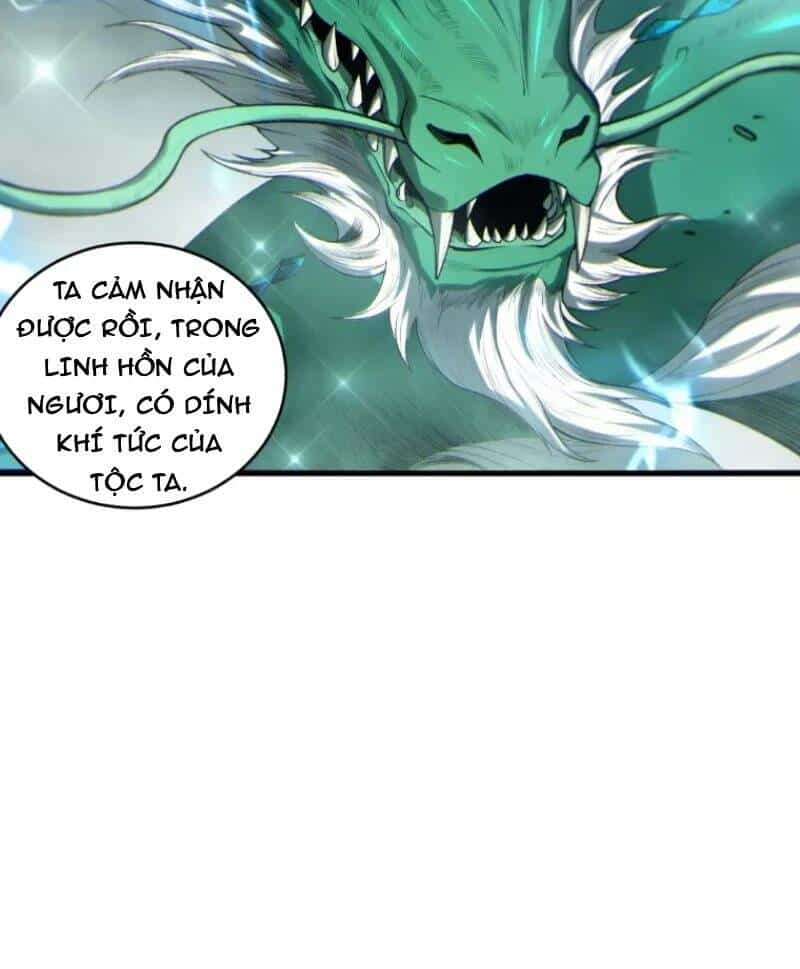 Thảm Họa Tử Linh Sư - Chương 262 - ảnh 35