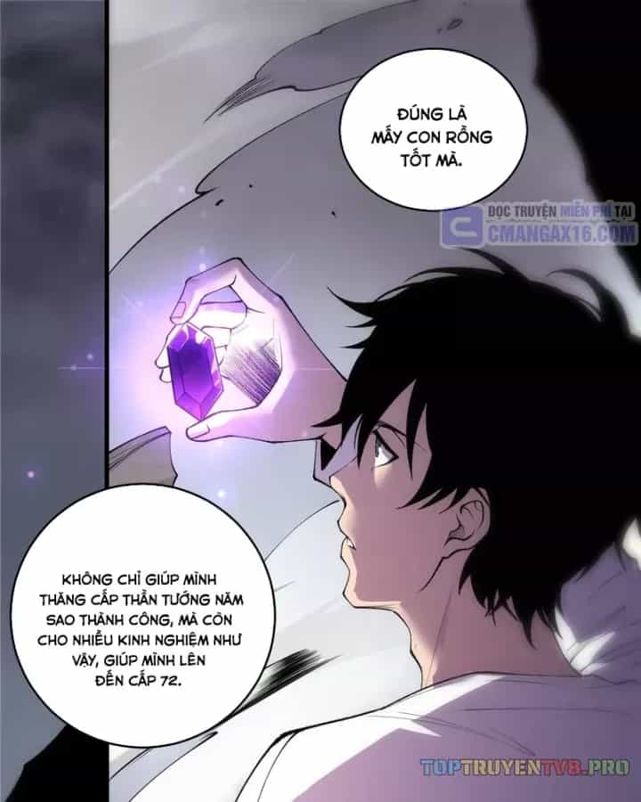 Thảm Họa Tử Linh Sư - Chương 263 - ảnh 3