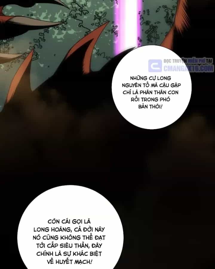 Thảm Họa Tử Linh Sư - Chương 263 - ảnh 53